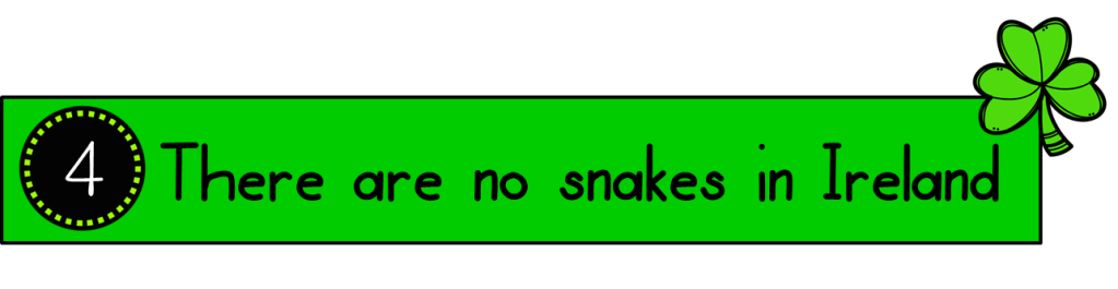 There are no snakes in Ireland - St Patrick banished them